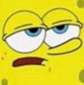 Meet your Posher, Ava